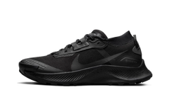 Pegasus Trail 3 Gore-Tex Wmns"Black" DC8794 001