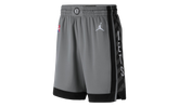 Brooklyn Nets Nba Edition Shorts "GREY" CV8613 002
