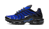 AIR MAX PLUS "Black" FQ7331-001