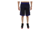 Rise Diamond Basketball Short "NAVY / PURPLE" 887438 416