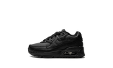 Air Max 90 PS "BLACK / BLACK / WHITE / BLACK" CD6867 001