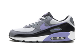 Air Max 90 "Light Thistle" DM0029 014