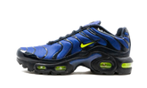 Air Max Plus (GS) CD0609 401