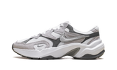 AL8 WMNS"Smoke Grey Metallic Silver" FJ3794 101