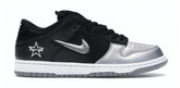 SB Dunk Low Jewel Swoosh Silver