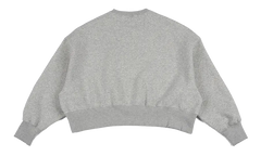 NSW Pheoneix Fleece Oversized Crew WMNS"Pure Platinum" DQ5761 043