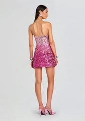 Tancy Sequin Dress